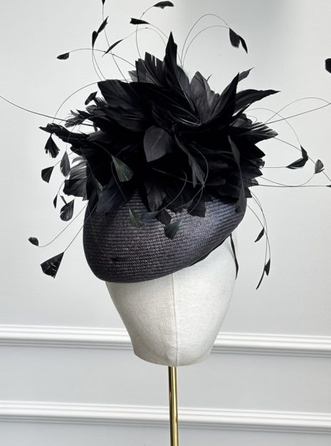 hat-269-main