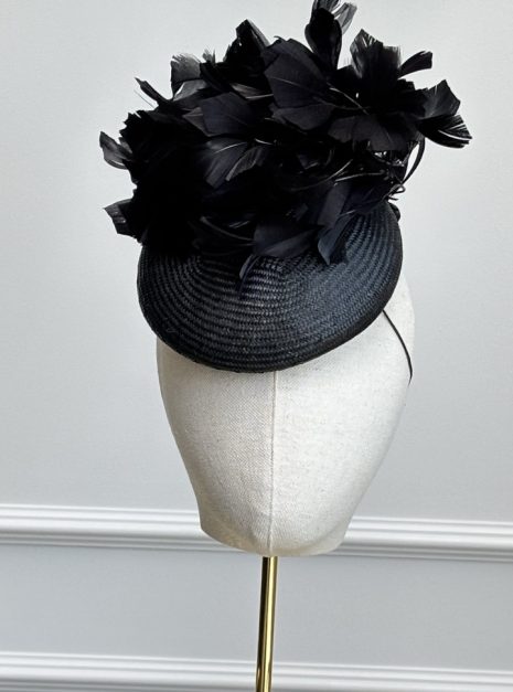 hat-273-main