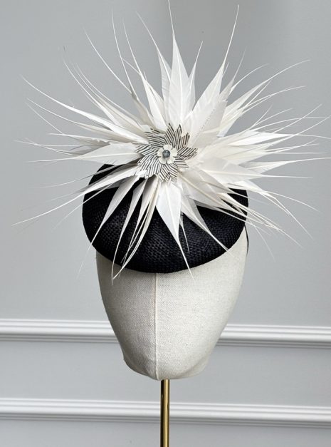 hat-288-main hat-288-main