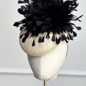Pom
