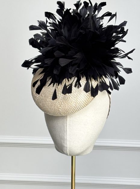 hat-290-main hat-290-main