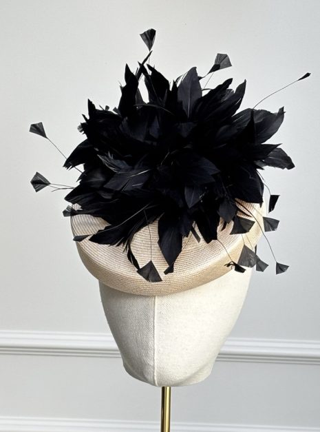 hat-291-main hat-291-main