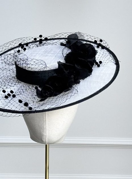 hat-295-main hat-295-main