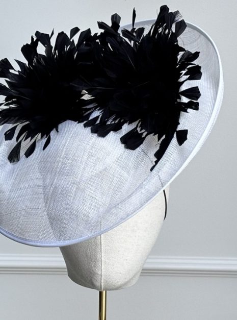hat-298-main hat-298-main